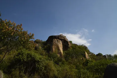 DSC_3367 (Large).JPG